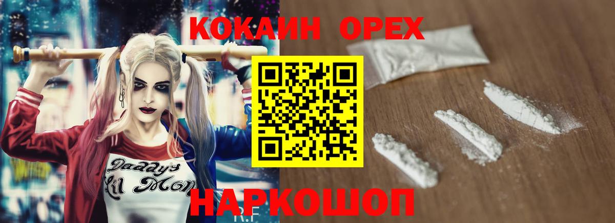 COCAIN FishScale  Вход с VPN  Саранск  COCAIN Боливия 