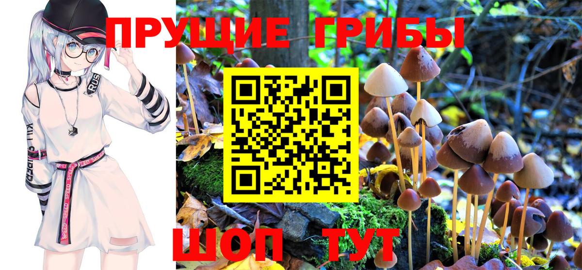 Галлюциногенные грибы Psilocybe  Вход с VPN  Галлюциногенные грибы MAGIC MUSHROOMS  Саранск 